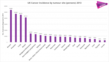 Pancreatic cancer is the 10th most common cancer in the UK . This graph shows the top 20 cancers in 2013