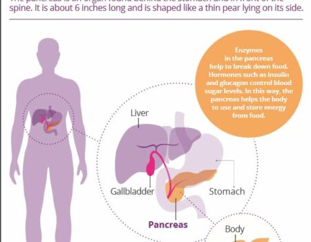 PCA 'what is the pancreas?' poster