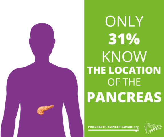 only 31% know the location of the pancreas